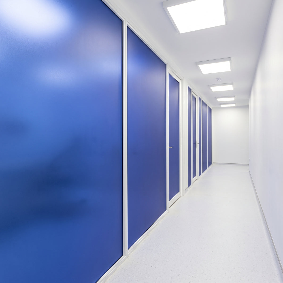 Sapphire Blue frosted Perspex acrylic sheet (S2 7T28) used as clinic corridor glazing