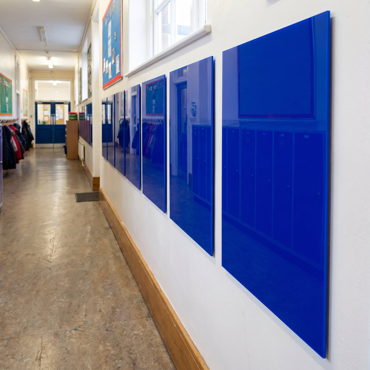 Blue 750 Perspex school wall panels