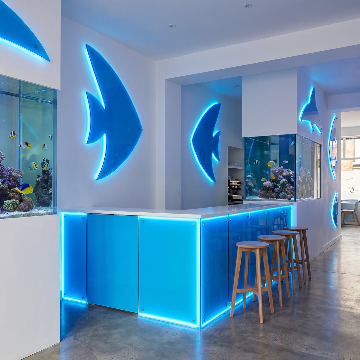 Fluorescent Neptune Blue 7T97 Perspex counter with glowing edges