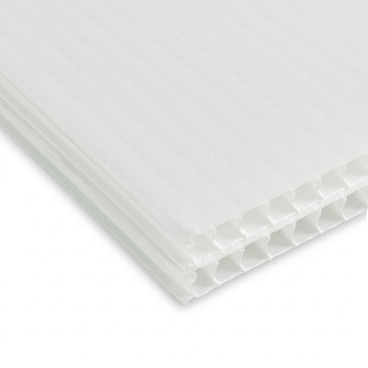 Close-up of white fluted polypropylene sheet 4mm showing the twin-wall flute edge