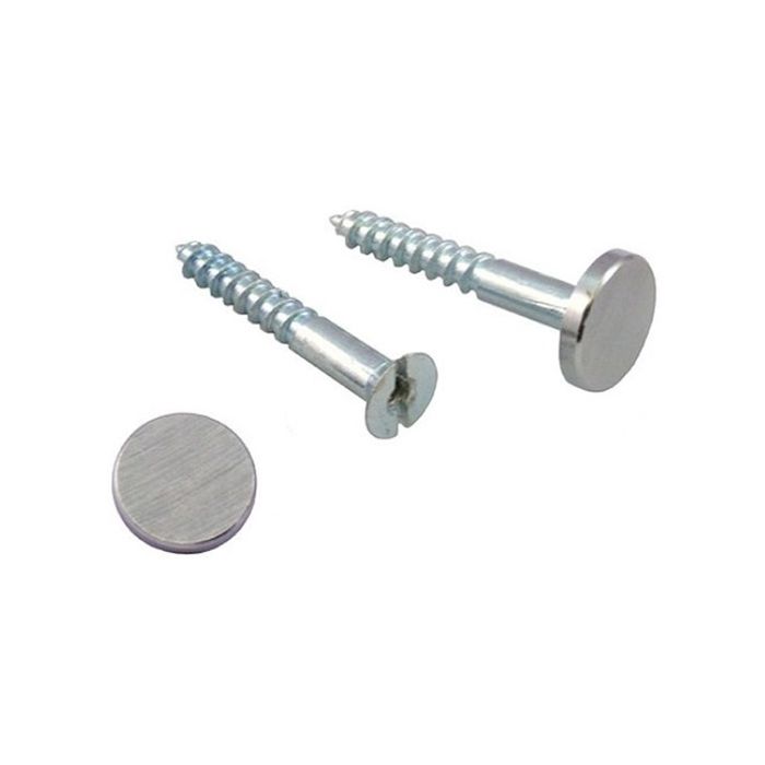 Dark Gray Mirror Screws Ideal For Fixing Acrylic Mirrors